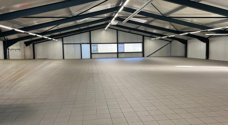 Hochwertige Gewerbefläche in Meilen – ca. 350 m² (11)