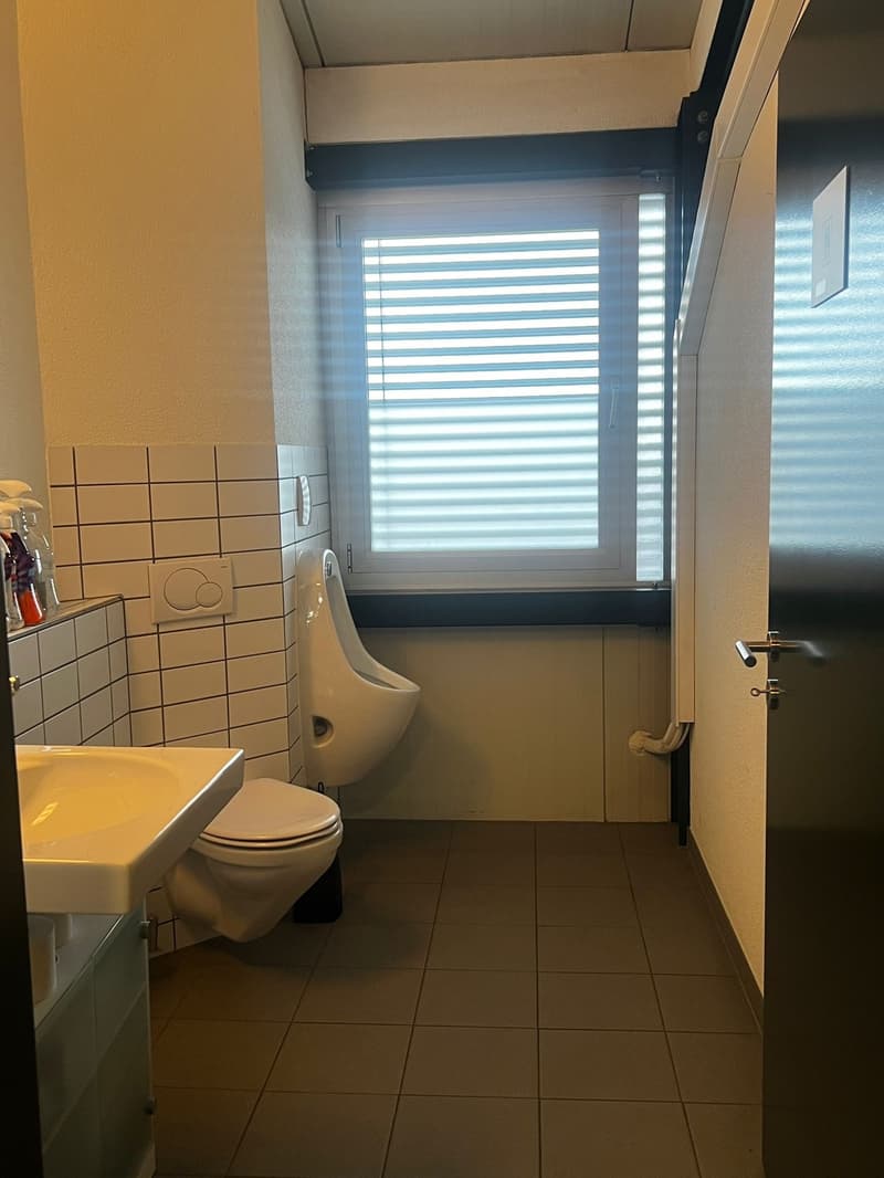Hochwertige Gewerbefläche in Meilen – ca. 350 m² (3)