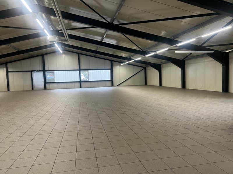 Hochwertige Gewerbefläche in Meilen – ca. 350 m² (4)