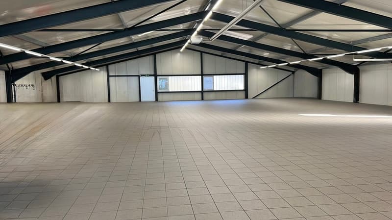 Hochwertige Gewerbefläche in Meilen – ca. 350 m² (9)