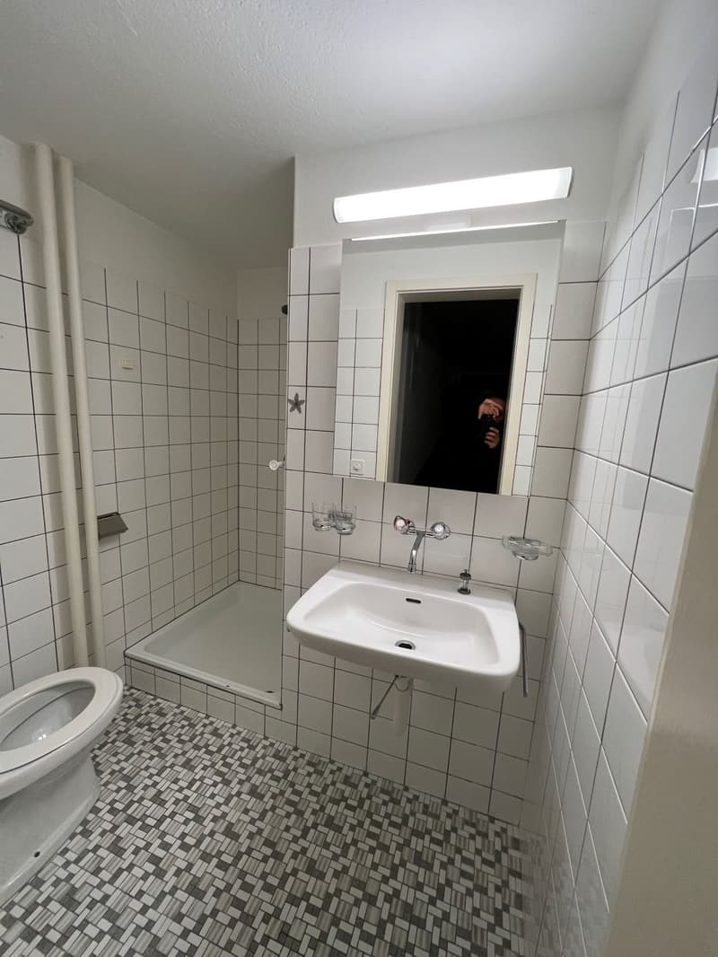 Zu vermieten helle 3 1/2 Zimmer Parterrewohnung mit grossem Sitzplatz (6)