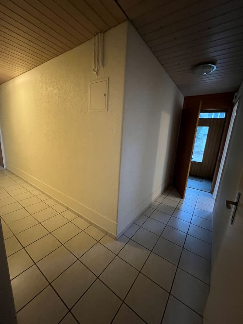 Zu vermieten helle 3 1/2 Zimmer Parterrewohnung mit grossem Sitzplatz (7)