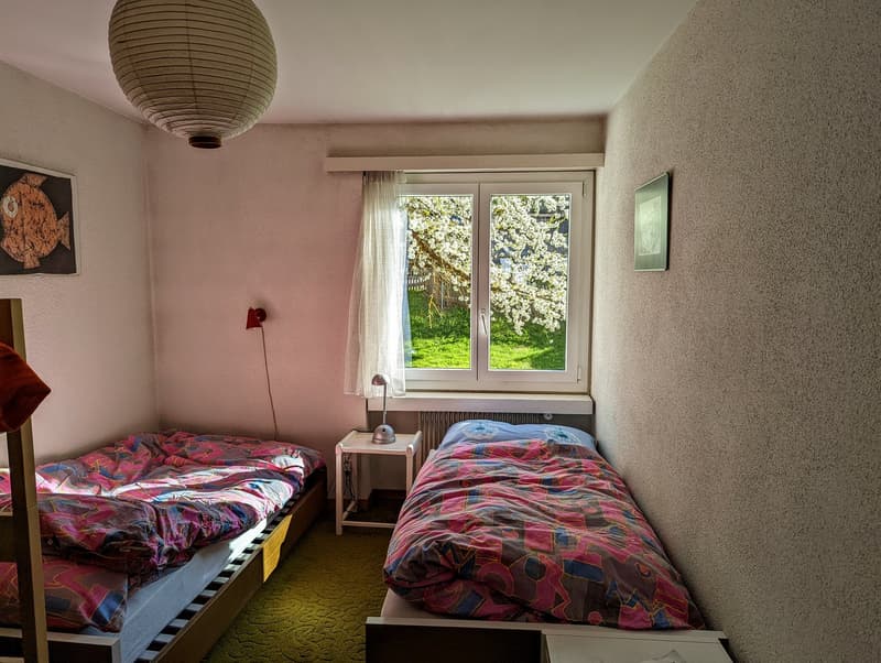 Sonnige 4.5-Zimmer-Oase mit Kamin & Blick ins Grüne in Sagogn (Zweitwohnsitz) (10)