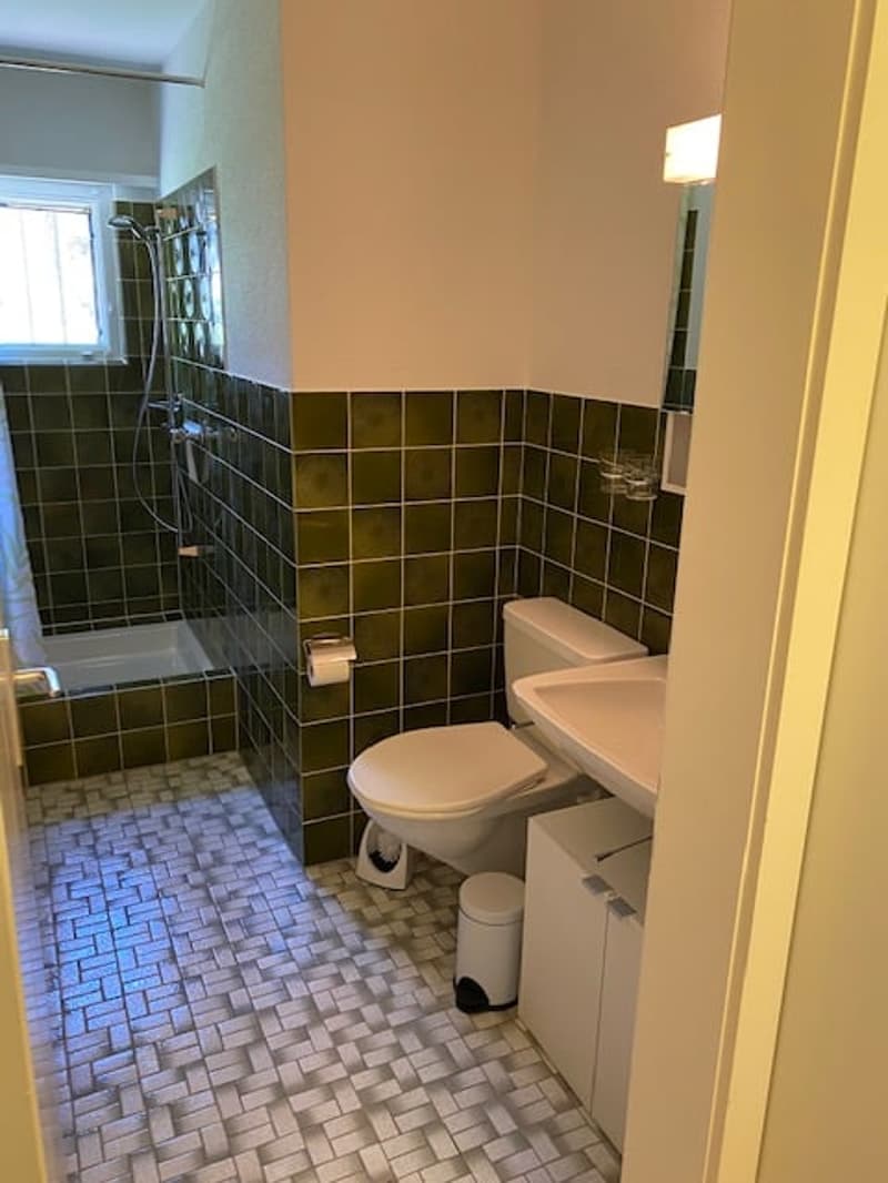 Ruhige gepflegte 1 Zimmer Wohnung (10)