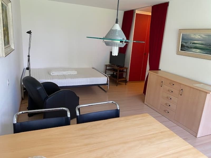 Ruhige gepflegte 1 Zimmer Wohnung (5)