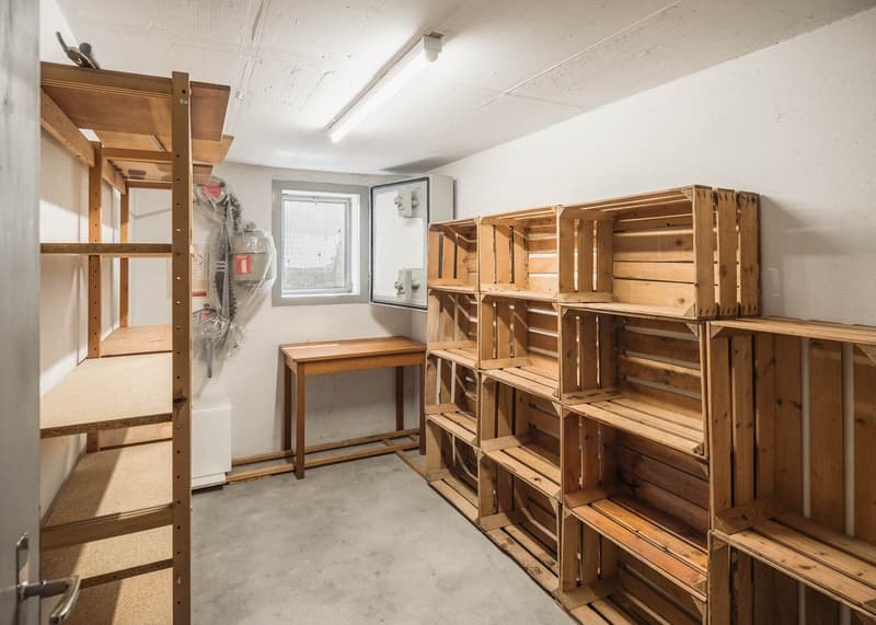 Erstvermietung nach Umbau: 5.5-Zimmer-Doppeleinfamilienhaus mit Bodenseesicht in Wittenbach (16)