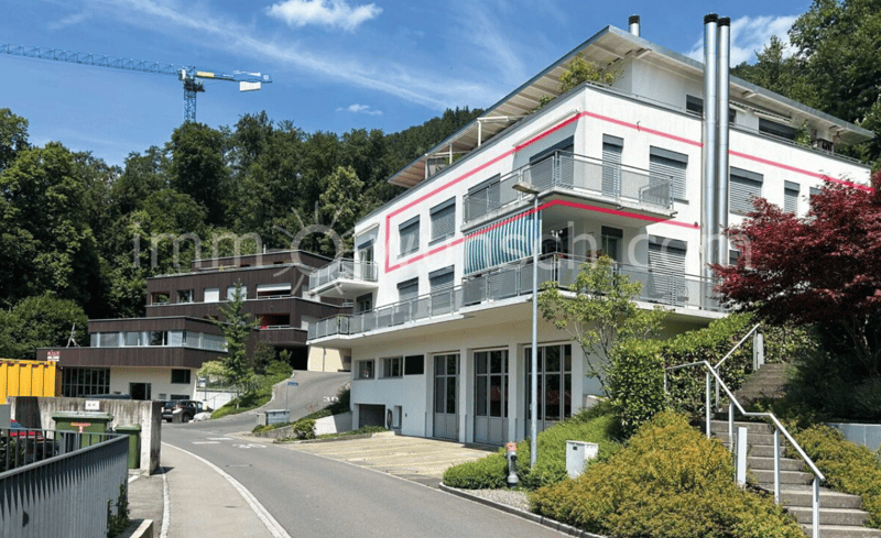 Exklusive 4 ½ Zi. EGTW mit traumhafter Seesicht in Walchwil (8)