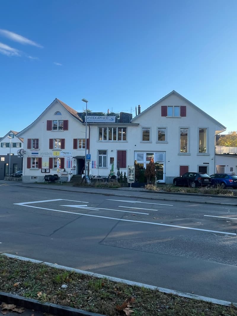 Loft in Uetikon am See (16)