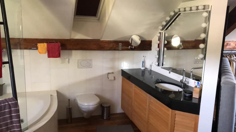 Loft in Uetikon am See (15)