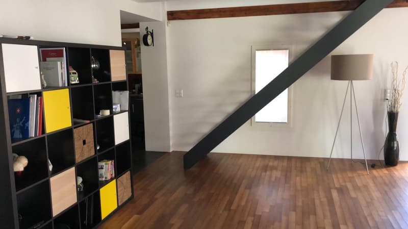 Loft in Uetikon am See (5)