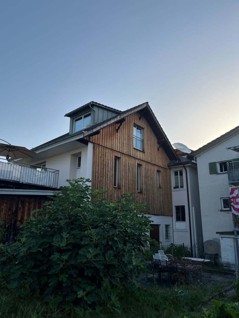 Loft in Uetikon am See (9)