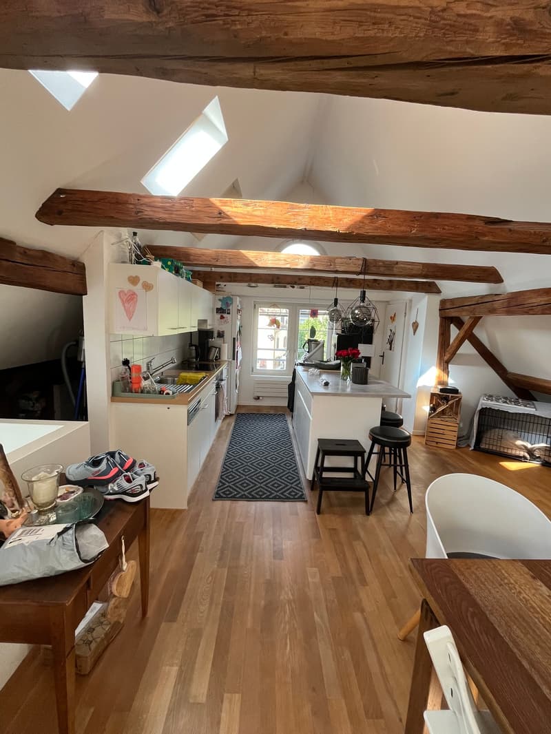 Charmante 2.5-Zimmer-Dachwohnung an sonniger Lage in Uetikon am See (8)