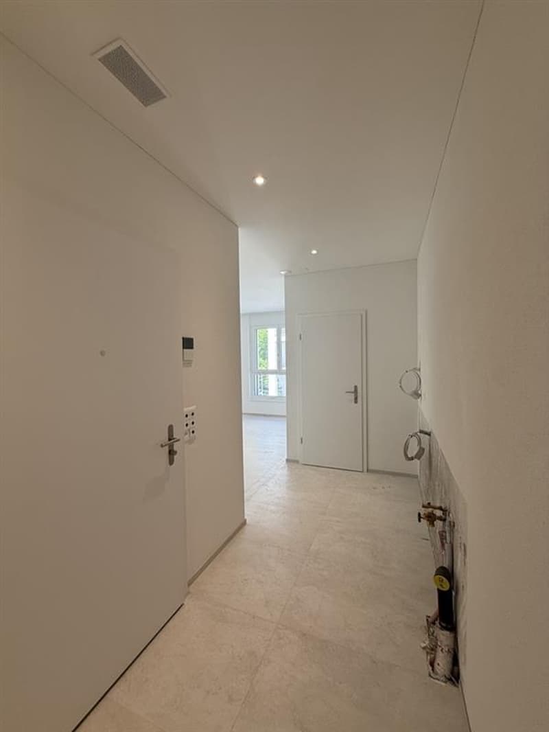 Exklusive 1.5-Zimmer-Neubaustudio im San Siro Quartier (3)