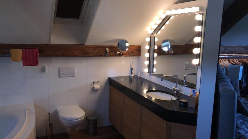 Charmantes Loft-Apartment mit Kamin und Seeblick in Uetikon am See (15)
