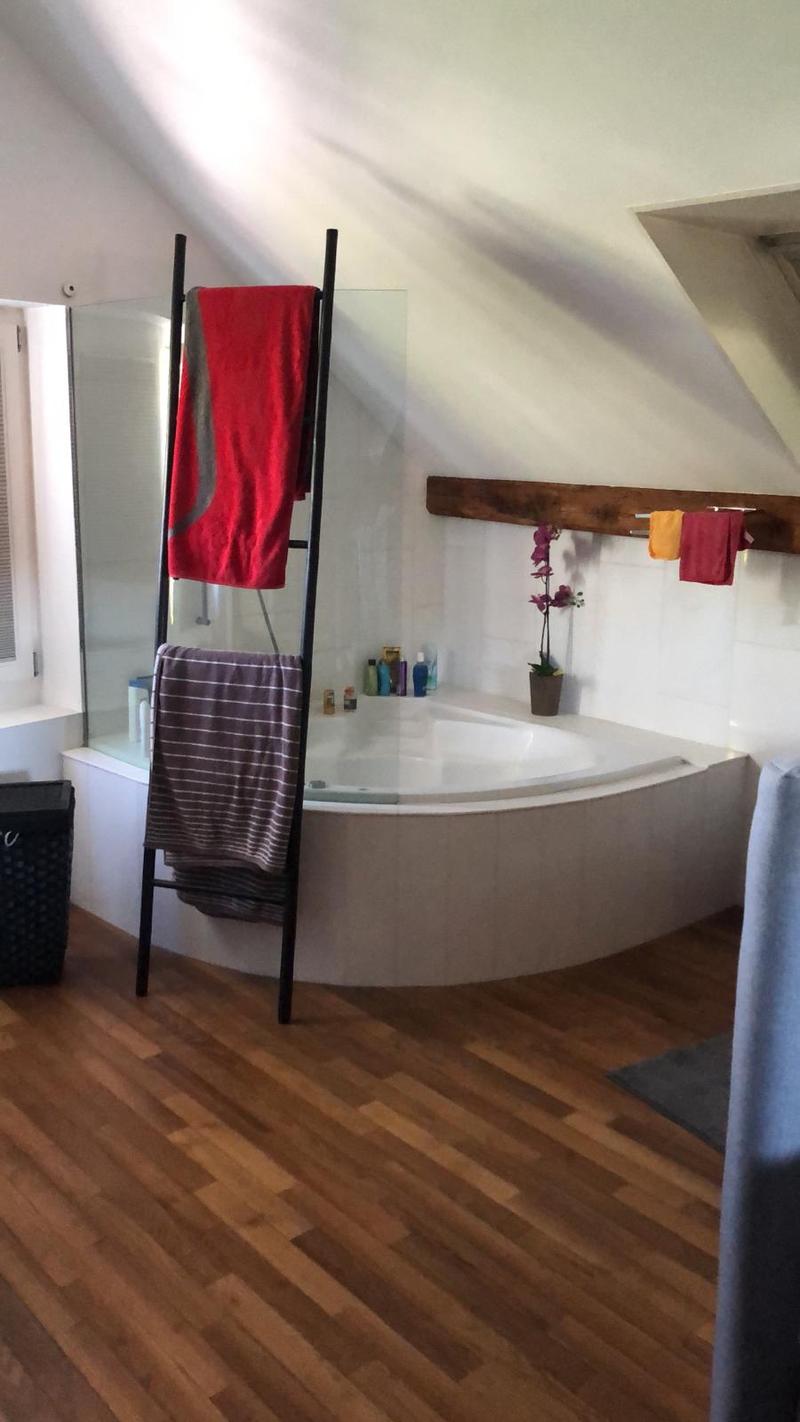 Charmantes Loft-Apartment mit Kamin und Seeblick in Uetikon am See (5)