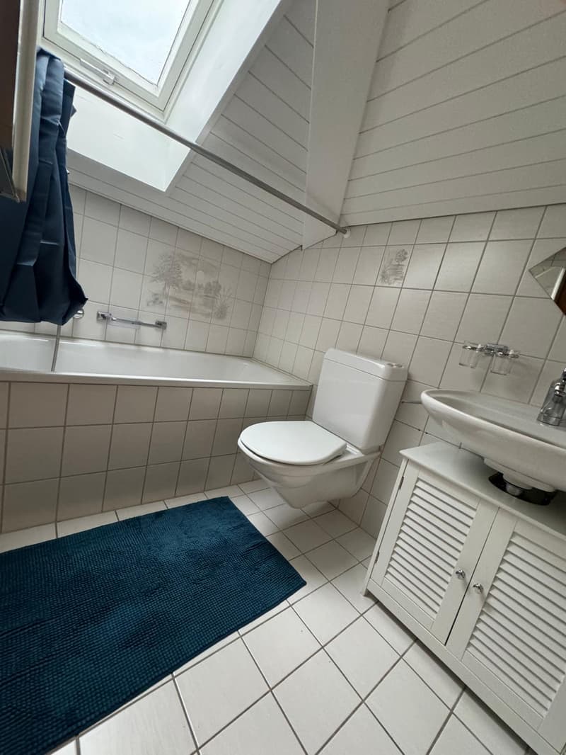 Schöne kleine möblierte 2-Zimmer-Dachwohnung mit Balkon – 8852 Altendorf (3)