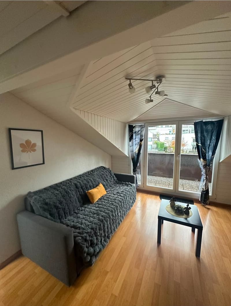 Schöne kleine möblierte 2-Zimmer-Dachwohnung mit Balkon – 8852 Altendorf (16)