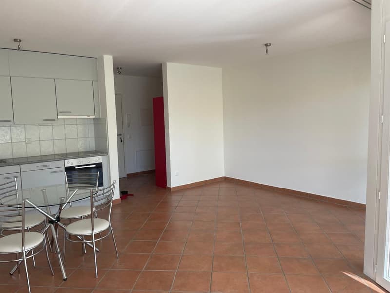Pregassona – luminoso appartamento di 1 locale con ampio balcone e piscina (7)