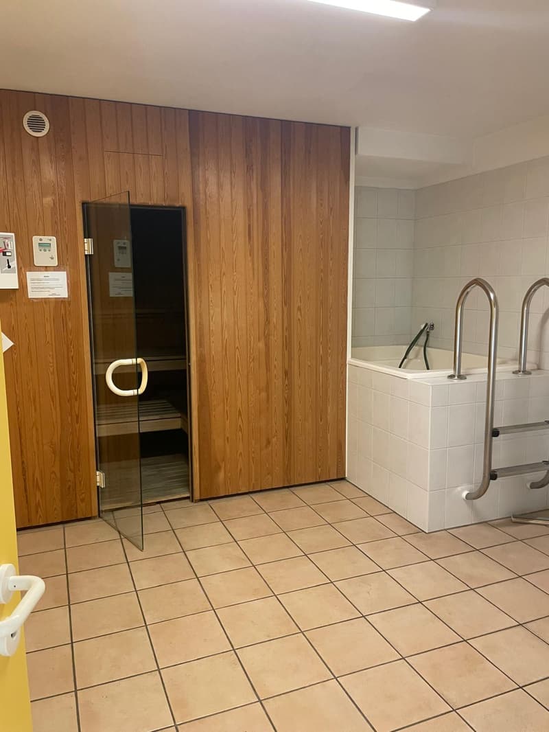 Pregassona – luminoso appartamento di 1 locale con ampio balcone e piscina (15)