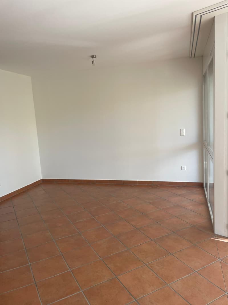 Pregassona – luminoso appartamento di 1 locale con ampio balcone e piscina (6)