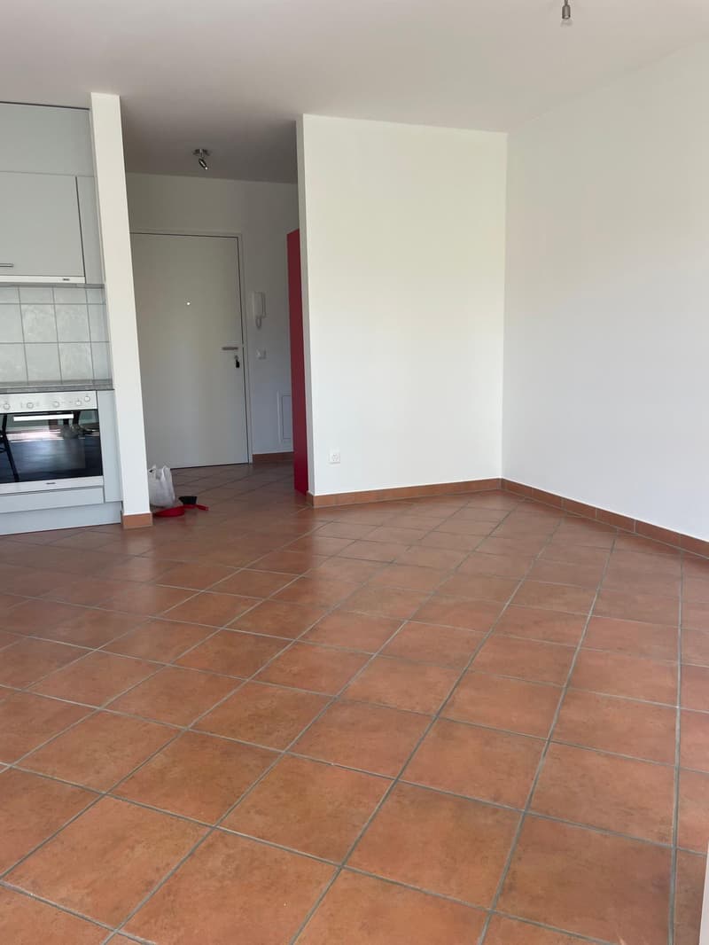 Pregassona – luminoso appartamento di 1 locale con ampio balcone e piscina (4)