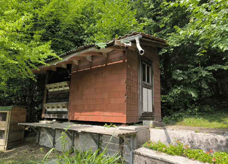 Grosszügiges 9.5-Zimmer-Einfamilienhaus in Wattwil zu vermieten - befristet bis Herbst 2028 (18)