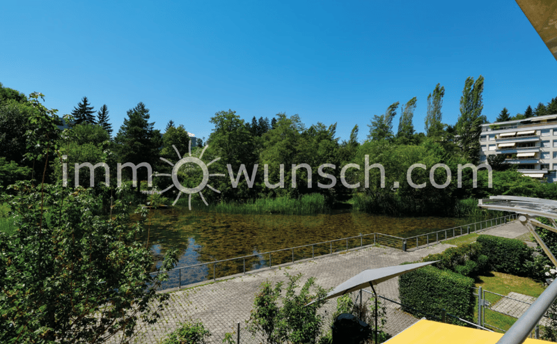 Helle, sowie grosszügige 3 ½ Zi. Eigentumswohnung mit gedecktem Balkon und Aussicht auf den Weiher (1)