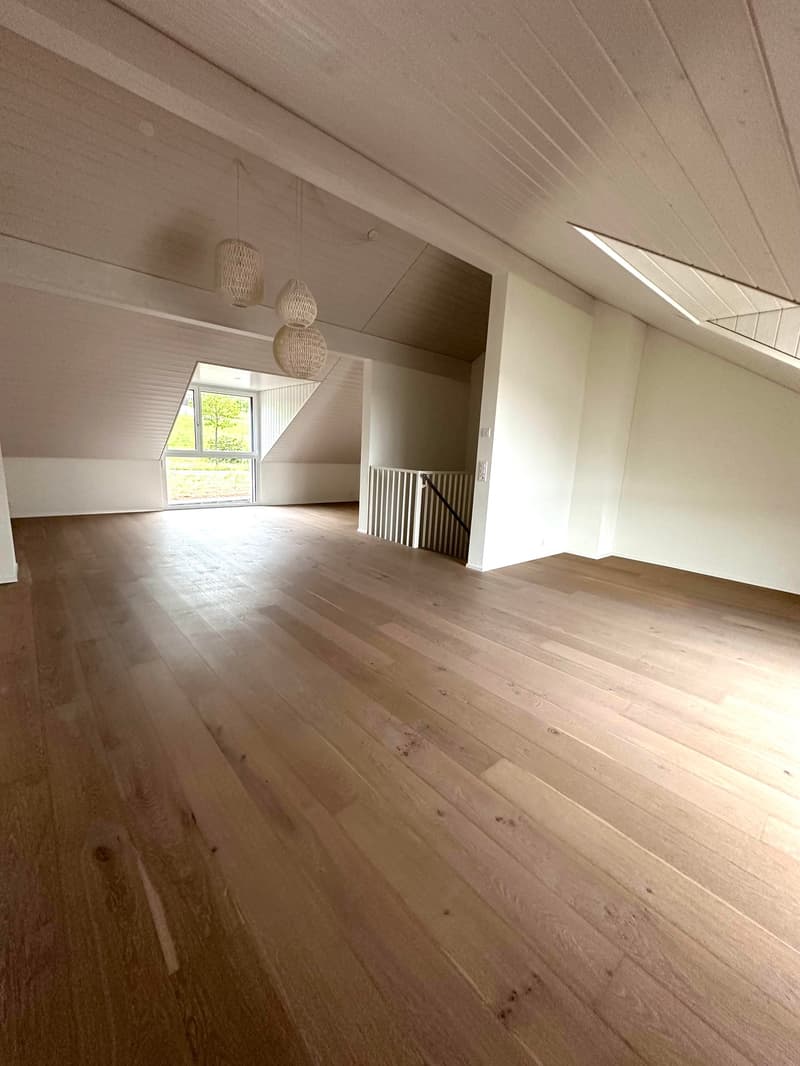 Wunderschönes 5.5-Zimmer-Familienhaus | ca. 240 m² | Garten | 10 Min. von Zug (4)