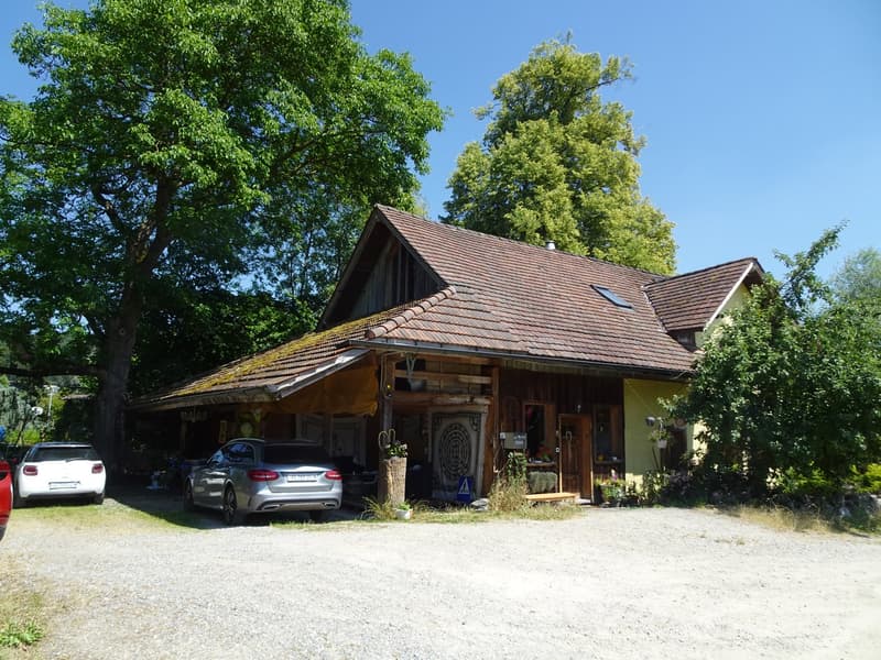 Ökologisch umgebautes ehemaliges Bauernhaus inmitten der Natur (4)