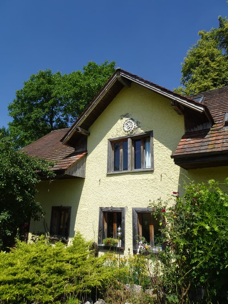 Ökologisch umgebautes ehemaliges Bauernhaus inmitten der Natur (3)