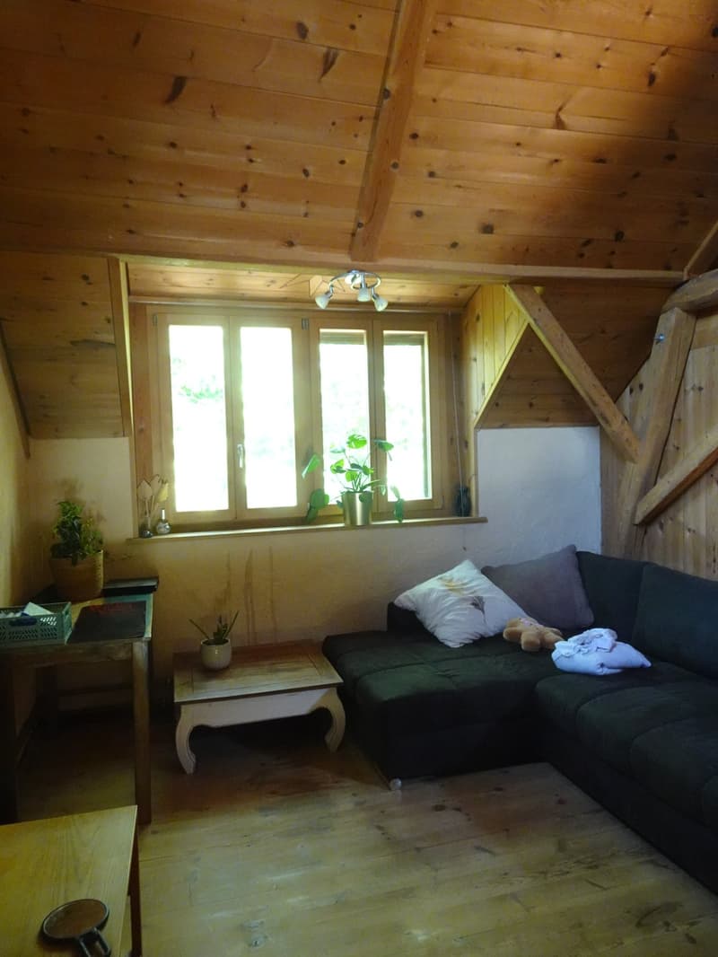Ökologisch umgebautes ehemaliges Bauernhaus inmitten der Natur (17)