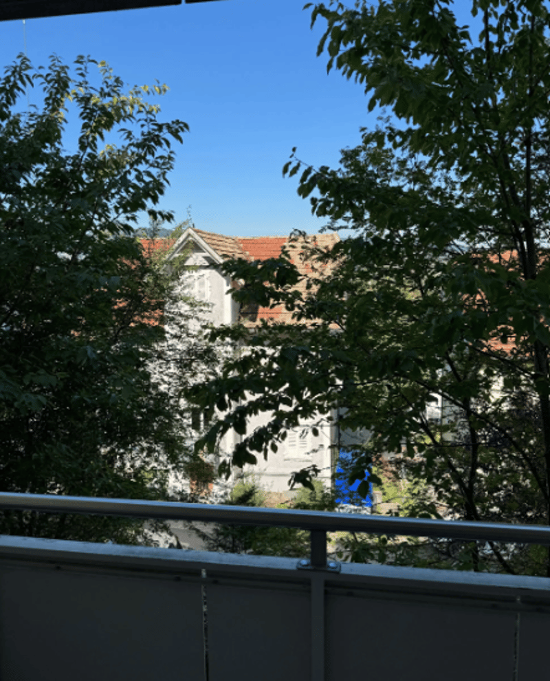 Schöne und helle 2,5 Zimmer-Wohnung ab SOFORT (11)