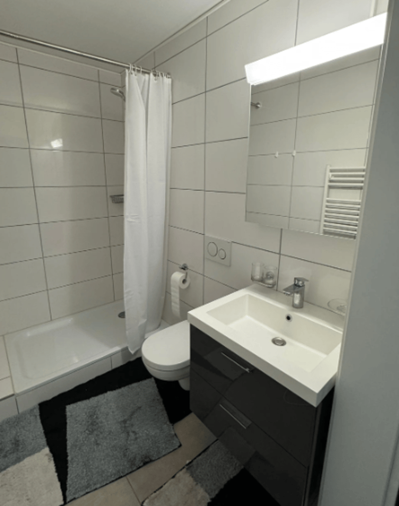 Schöne und helle 2,5 Zimmer-Wohnung ab SOFORT (6)