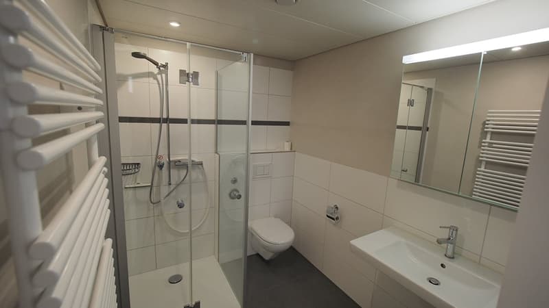 Zu vermieten 4 1/2 Zimmer Wohnung 1. Etage (2)