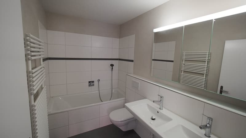 Zu vermieten 4 1/2 Zimmer Wohnung 1. Etage (3)