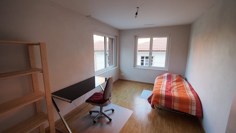 Zu vermieten 4 1/2 Zimmer Wohnung 1. Etage (21)