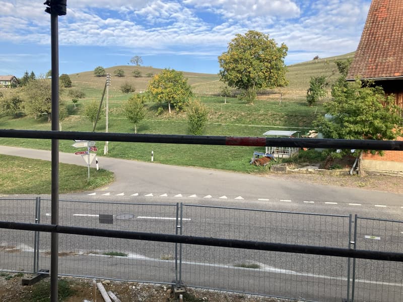 Neue 4 1/2 Zimmer mit grossem Balkon (2)