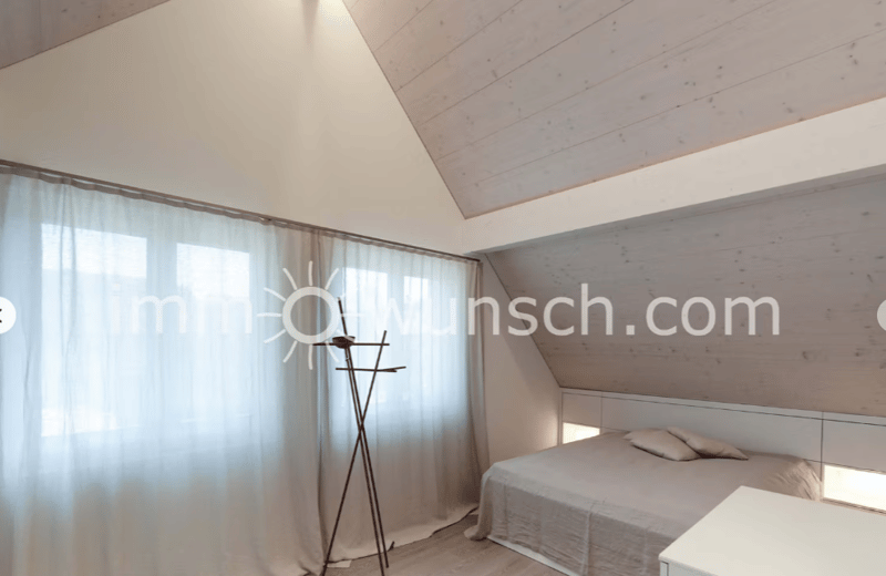 Modern ausgestattete, sowie helle 2.5 Zi. Dach-Eigentumswohnung (9)
