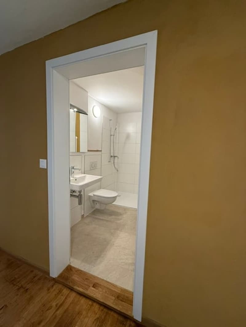Erstvermietung nach Renovation, grosszügige 3.5-Zimmer-EG-Wohnung mit Terrasse und Garten (13)