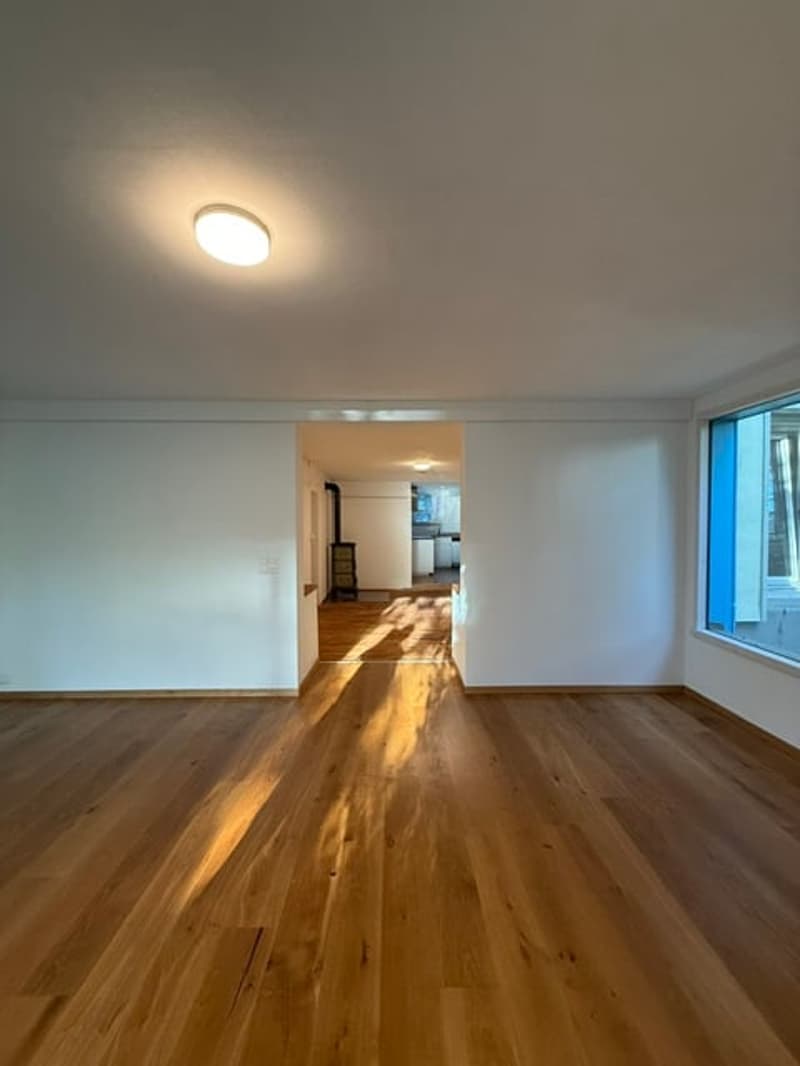 Erstvermietung nach Renovation, grosszügige 3.5-Zimmer-EG-Wohnung mit Terrasse und Garten (6)