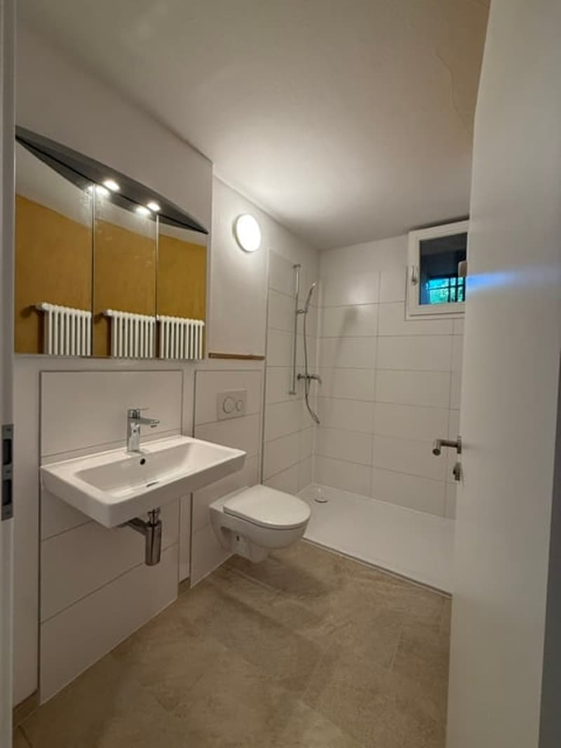 Erstvermietung nach Renovation, grosszügige 3.5-Zimmer-EG-Wohnung mit Terrasse und Garten (14)