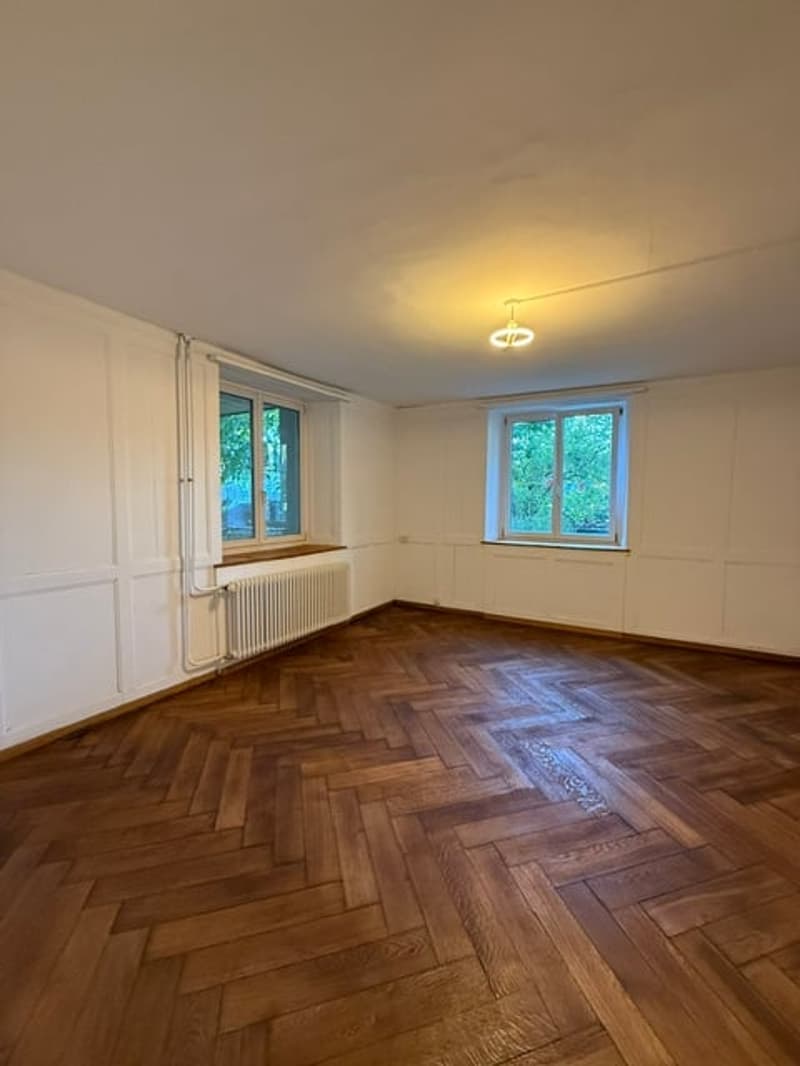 Erstvermietung nach Renovation, grosszügige 3.5-Zimmer-EG-Wohnung mit Terrasse und Garten (4)