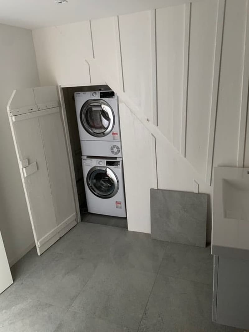 Charmant duplex de 5.5 pièces à La Neuveville (6)