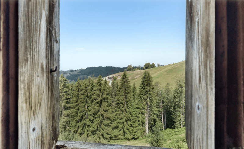 6.5 Zimmer Bauernhaus (24)