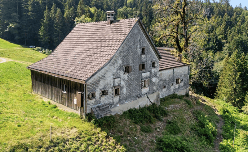 6.5 Zimmer Bauernhaus (4)