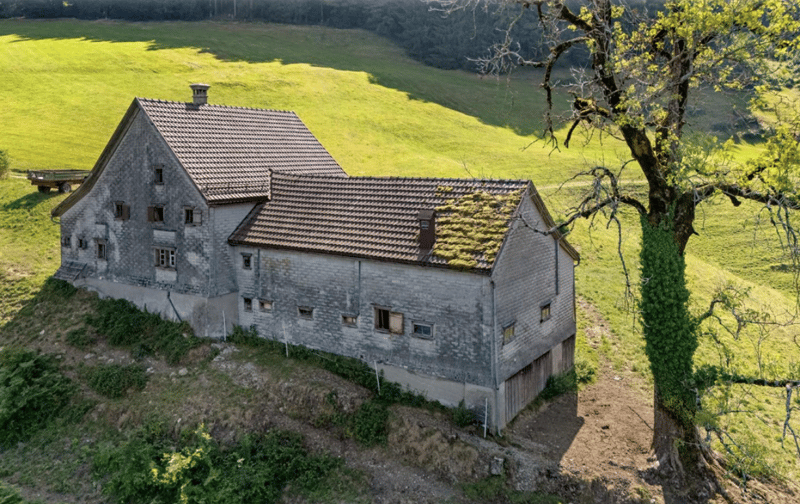 6.5 Zimmer Bauernhaus (5)