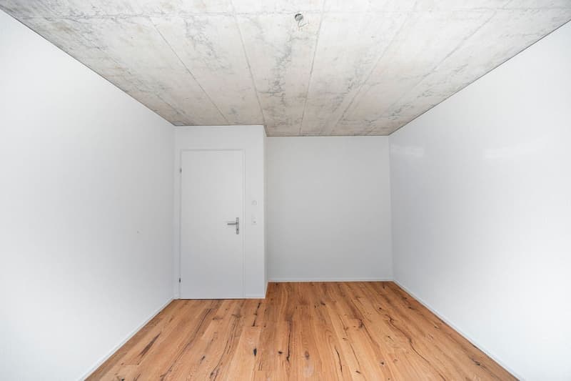 Moderne 4.5-Zimmer-Neubau-Wohnung mit Balkon in Bäriswil (1)