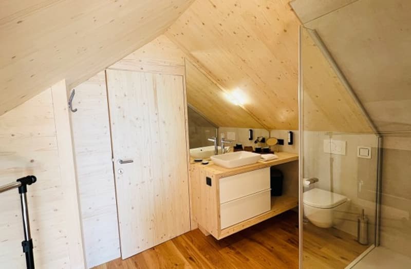 Tiny Haus in Oeko Standart mit jeglichem Luxus (6)