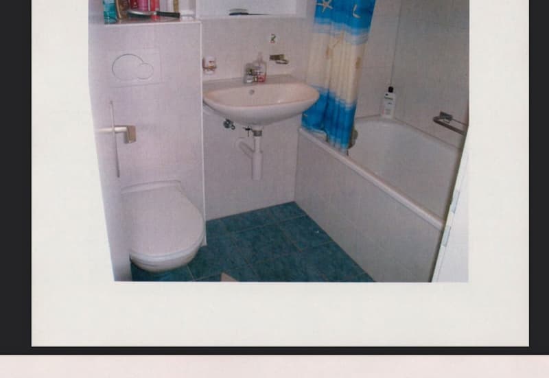 5.5  Z. Wohnung, 134 m2, total renoviert 2010, ruhige, zentrale Lage (3)