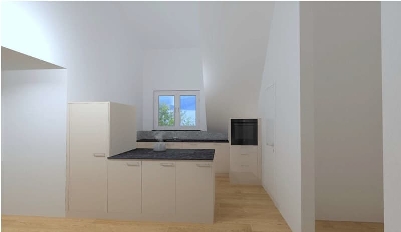 Neue 4 1/2 Zimmer Galerie Wohnung (13)